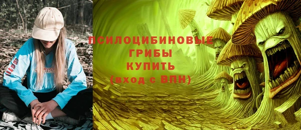 мет Каменка