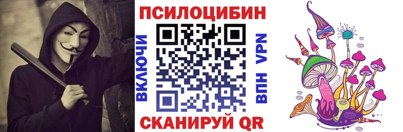 Псилоцибиновые грибы мухоморы  Купить закладки  Заинск 